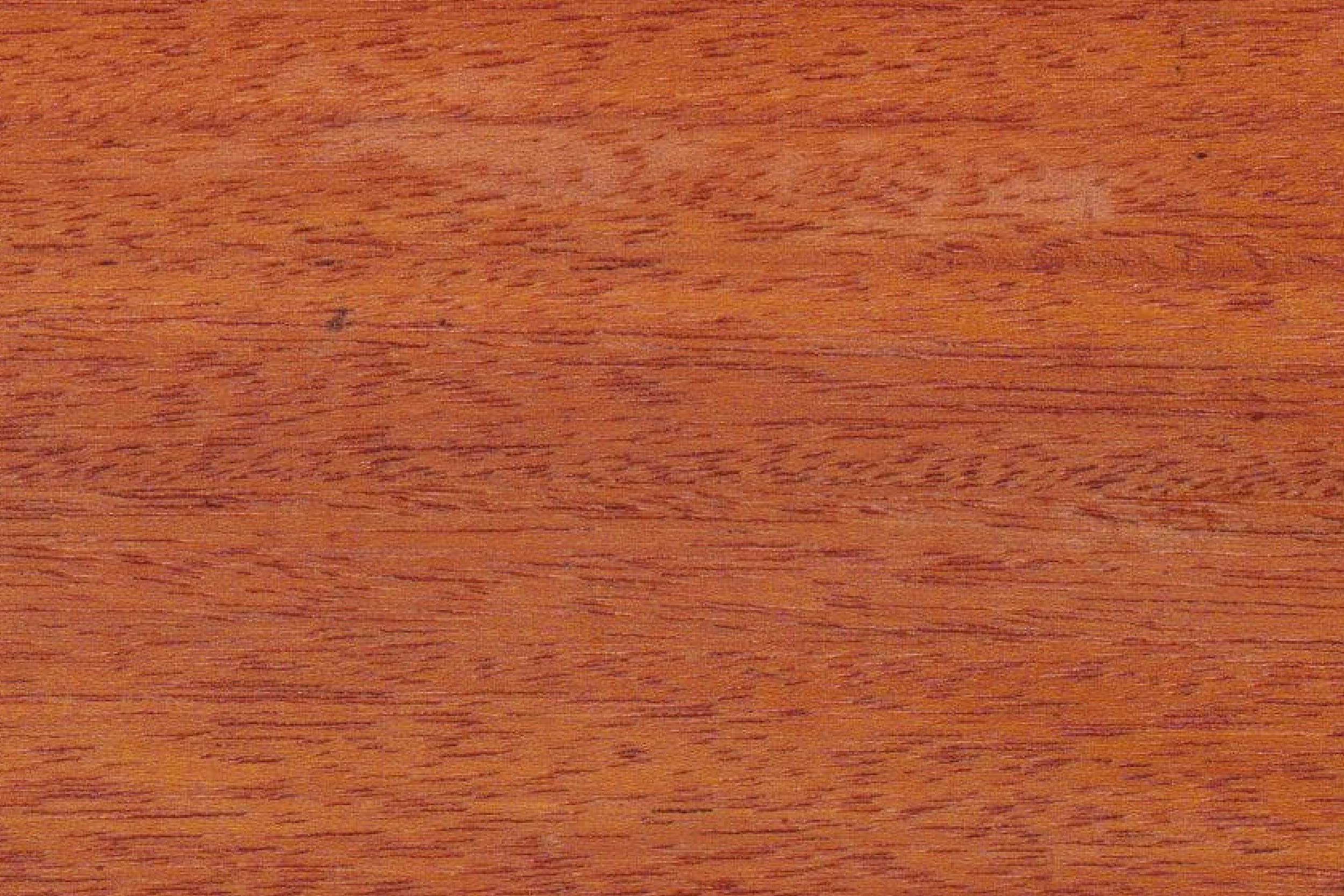 Close-up grain texture of Ironwood (Ulin) timber
